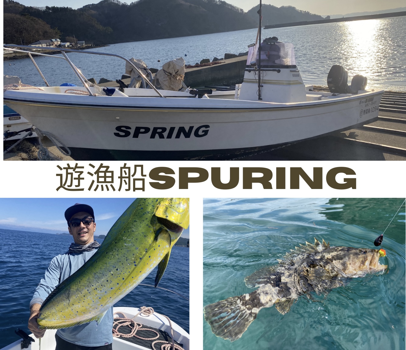 Press.org登録テーマ