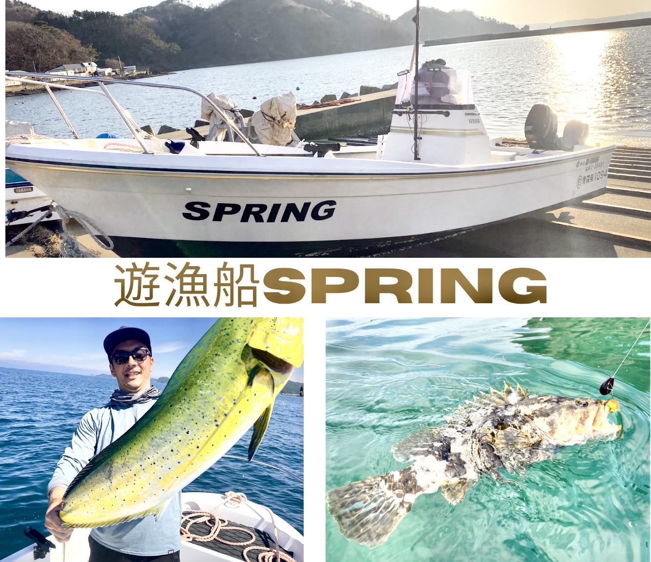 Press.org登録テーマ